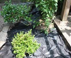 Weed Control Mat Applications